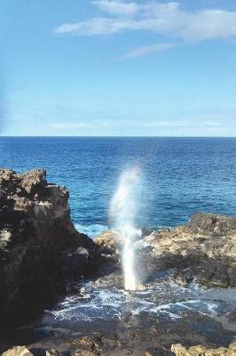 Book cover for Blow Hole on Maui in Hawaii Journal