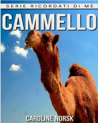 Book cover for Cammello