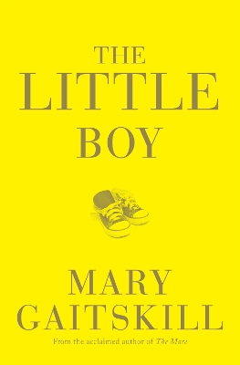 Book cover for The Little Boy