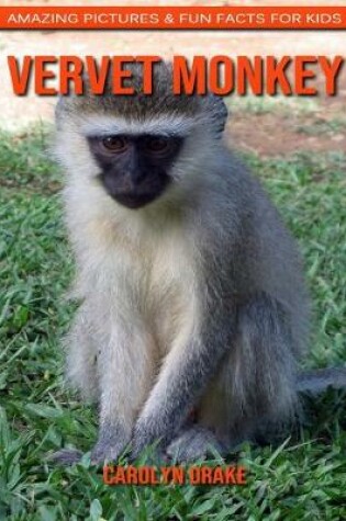 Cover of Vervet Monkey