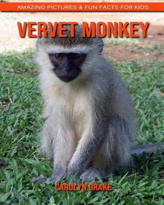 Book cover for Vervet Monkey