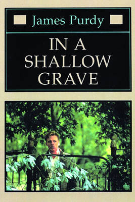 Book cover for In a Shallow Grave