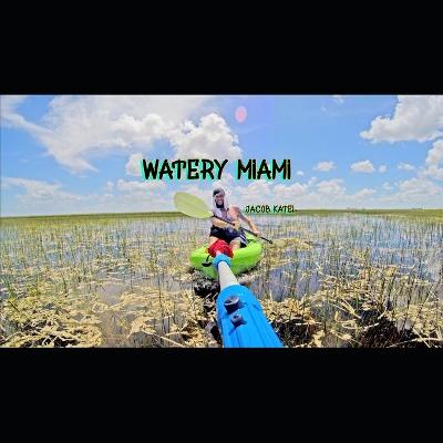 Book cover for Watery Miami