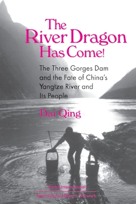 Book cover for The River Dragon Has Come!