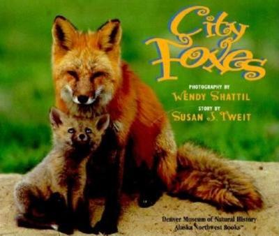 Book cover for City Foxes