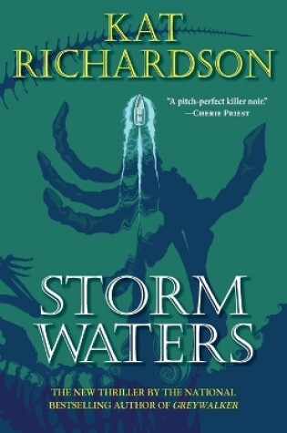 Cover of Storm Waters