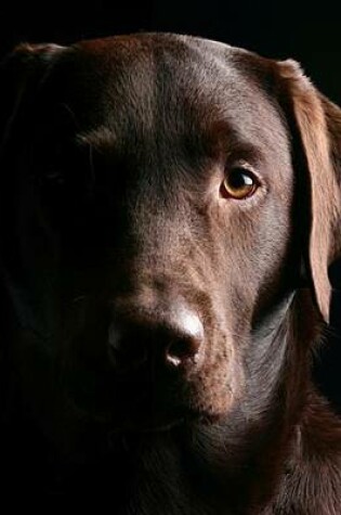 Cover of Jumbo Oversized a Beautiful Chocolate Lab Posing