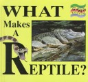 Book cover for What Makes a Repitle