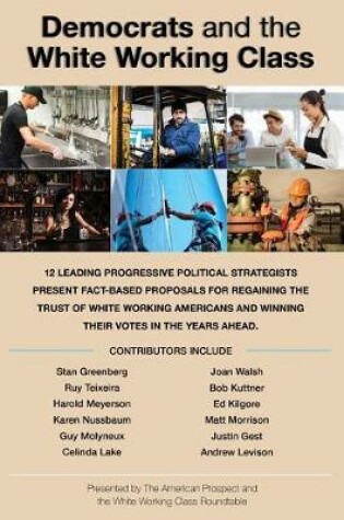 Cover of Democrats and the White Working Class