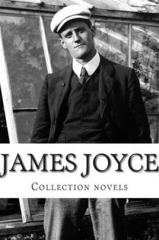 Cover of James Joyce, Collection novels