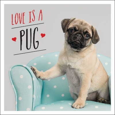 Book cover for Love is a Pug