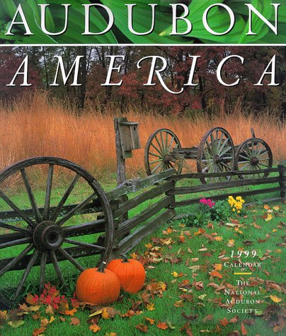 Book cover for Audubon America Calendar