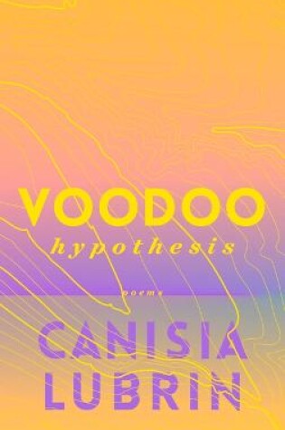 Cover of Voodoo Hypothesis