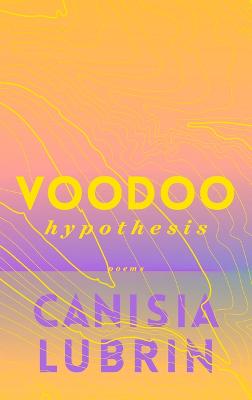 Cover of Voodoo Hypothesis