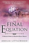 Book cover for The Final Equation