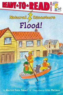 Book cover for Flood!