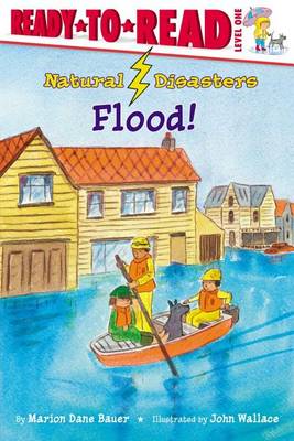 Cover of Flood!