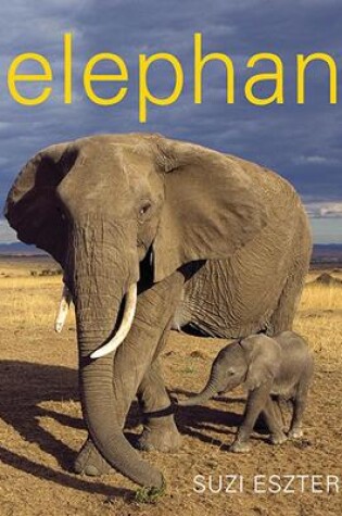 Cover of Elephant