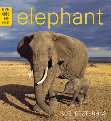 Book cover for Elephant