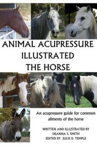 Cover of Animal Acupressure Illustrated The Horse