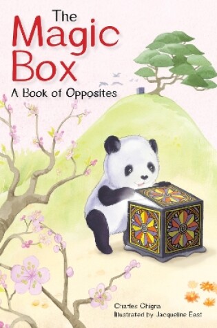 Cover of The Magic Box