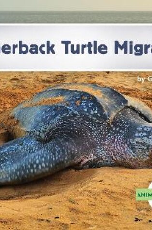 Cover of Leatherback Turtle Migration