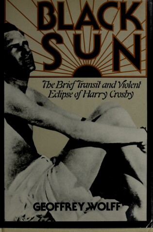 Book cover for Black Sun