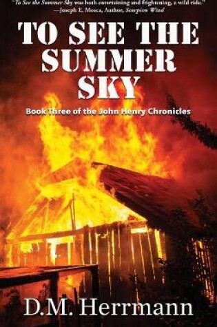 Cover of To See the Summer Sky