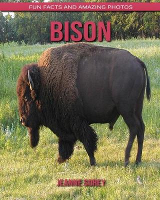 Book cover for Bison