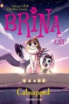 Book cover for Brina the Cat #3