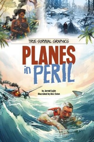 Cover of Planes in Peril