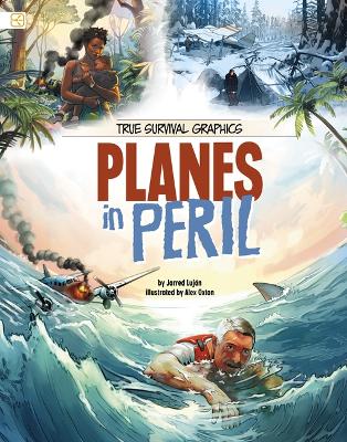 Cover of Planes in Peril