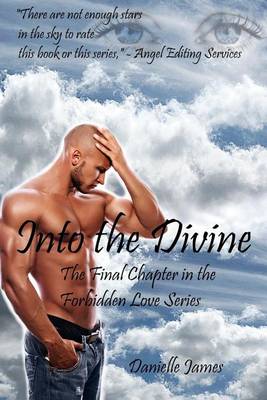 Book cover for Into the Divine