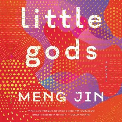 Book cover for Little Gods