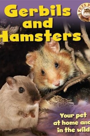 Cover of Gerbils and Hamsters