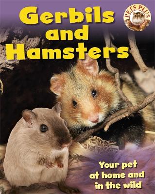 Book cover for Gerbils and Hamsters