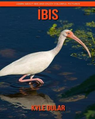 Book cover for Ibis! Learn about Ibis and Enjoy Colorful Pictures