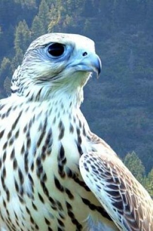 Cover of Hybrid White Gyrfalcon and Saker Falcon Journal