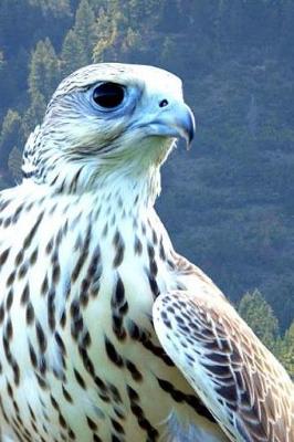 Book cover for Hybrid White Gyrfalcon and Saker Falcon Journal