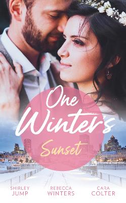 Book cover for One Winter's Sunset
