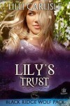 Book cover for Lily's Trust