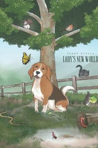 Cover of Lady's New World