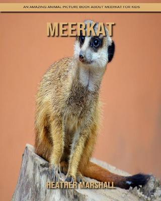 Book cover for Meerkat