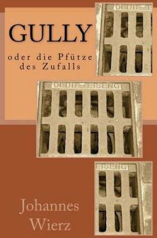 Cover of Gully Oder Die Pfuetze Des Zufalls