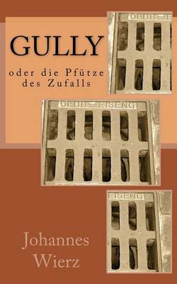 Book cover for Gully Oder Die Pfuetze Des Zufalls