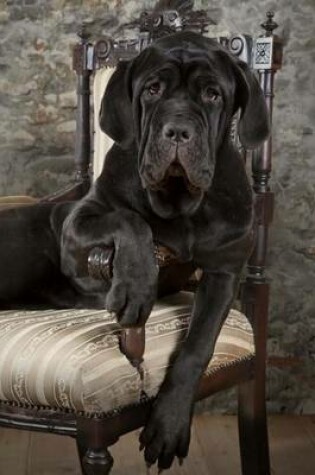 Cover of Neapolitan Mastiff