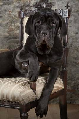 Book cover for Neapolitan Mastiff