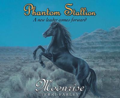 Cover of Phantom Stallion