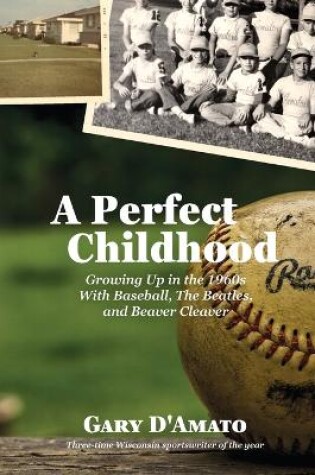 Cover of A Perfect Childhood