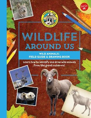 Book cover for Wild Animals--Field Guide & Drawing Book